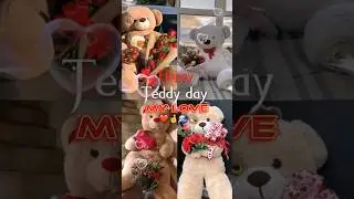 Happy Teddy day🕊❣️🐬#happyteddydaystatus #happyteddydaywhatsappstatus #happyteddyday