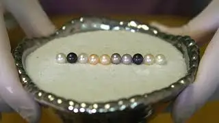 Time for a Pearl Party! (Reveals 12319 - 12338)