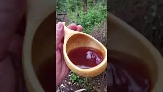 В лесу с собакой Оззи расчищаем завал/Бушкрафт/ #кобельоззи #собакаоззи #dogeat #собака