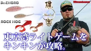 東京湾ライトゲームをキンキンが攻略。