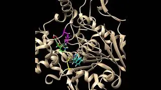 DKU 18 Binding
