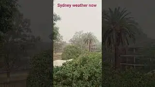 #sydney #soniadagar #weather #today #fun #weather #rain #soniadagar #youtube #viral #explore