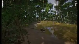 Live camera in the Planet Zoo game you will see Animals of the Amazon