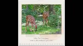 Nature's Display Calendar 2025