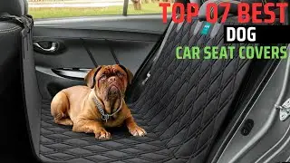 Best Dog Car Seat Covers in 2025 | Waterproof Seat Cover for Dogs