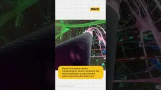 Tanpa sadar kita setiap hari di 