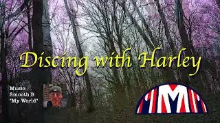 Discing with Harley 