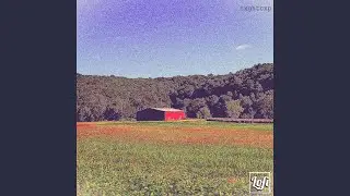 Nostalgic Haze