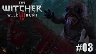 The Witcher 3: Wild Hunt | Part 3