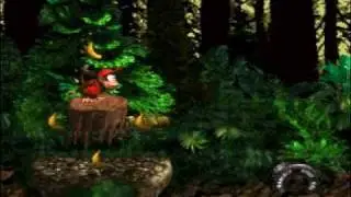 Donkey Kong Country  HACK 2009