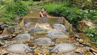 Details about Ana's most effective fishing methods. She harvested hundreds of kilograms of fish.