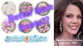 Grace Rose Farms Unboxing, February 2026