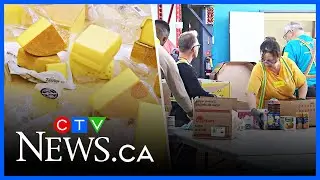 Final Five: Food bank donations dwindle and why cheese might be good for you