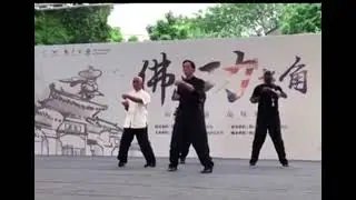 Demo Sil Lim Tau in Foshan