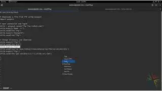 Using PEXPECT to automate remote tasks with Python