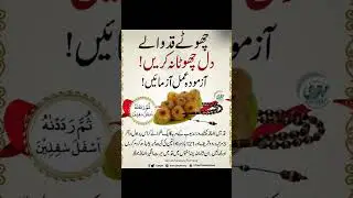 Life-Saving Islamic Wisdom #shorts #IslamicLifeTips