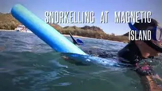Snorkelling in Magnetic Island