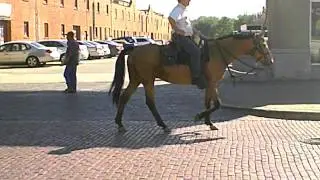 Cowboy riding the horse