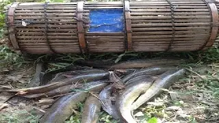 Amazing Bamboo Trap | Cambodia Fish Trapping | Village Traditional Fishing | 123NetFishing Channel