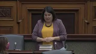 2020-11-24 Members&rsquo; Statements