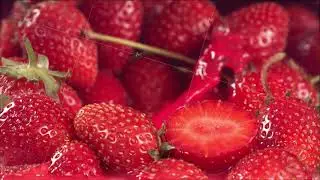 Strawberry falling in juice between strawberries. Slow motion 1000 fps