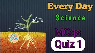 Science quiz/Every day science MCqs/Science MCqs/Science MCQs with answers