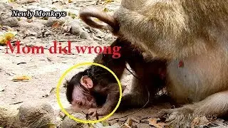 P2 | S0 Pity t0 see baby Valentin's head deep in ground | Valentin inhale dust into nose