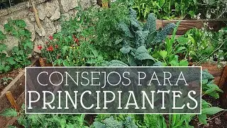 10 +1 Consejos para empezar un huerto