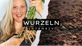 Wurzel-Intensiv, Trailer - Die kulinarischen und vitalisierenden Geheimnisse heimischer Wurzeln