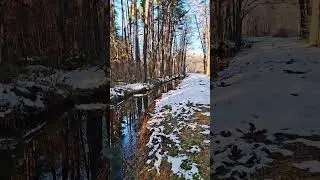 ❄️🌄Wasser, Schnee und Wald.. im Winter ist es kalt🌄❄️ #shorts #bayern #snow #water #forest #nature