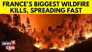 Massive Wildfire In France Leaves At Least One Dead, Nine Injured | France Wildfires | N18G