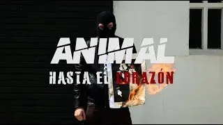 Hasta el Coraz&oacute;n - ANIMAL (nuevo single)