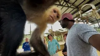 He tried to STEAL my phone! - Carnival Cruise 2026