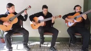 RACIMOS - gato cuyano - homenaje a Santiago Bértiz