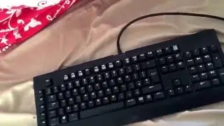 Раздача механической USB-клавиатуры Razer BlackWidow Expert (ЗАКРЫТО) [Сообщество Kohi-Mineman]