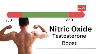 Nitric Oxide Supplement To Boost My Testosterone For Natural Bodybuilding