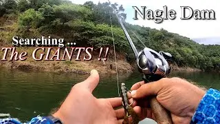 Bass Fishing at Nagle Dam - Searching for The Giants !! South Africa
