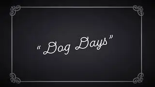 CTVA 240 Film #1: Dog Days