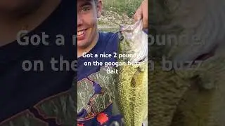 #fishing #bassfishing #bassfish #bass #giantbass #fish #fishspecies #motivation #pondhopping
