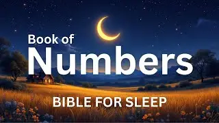 Fall Asleep to The Entire Book of Numbers | Bible For Sleep