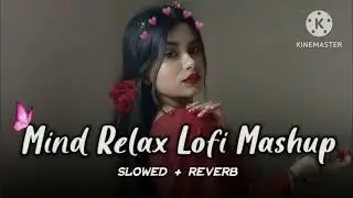🥀MIND  RELAX LO-FI (SLOWED+ REVERB) NEW VERSION LO-FI 🎶