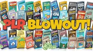 PLR Blowout - 55 Niche eBook Products with Full Private Label Rights
