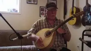 Petersen Octave Mandolin Review - Bob MacLean