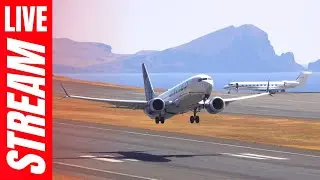 🔴 Madeira Airport LIVE Plane Spotting