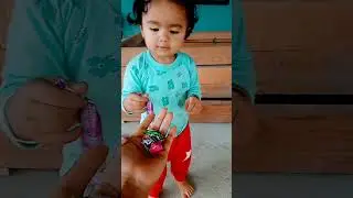 🥰chaclate koun koun khaayega#shortsvideoviral #youtubeshorts #viralvideo#cute #viral