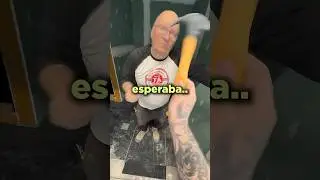 Broma al Pap&aacute;