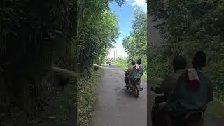 Shorts Regulation #gunungkidul #ai #fear