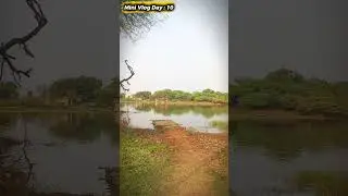 Daily Mini Vlog #10 #viral #vlog #vlog365