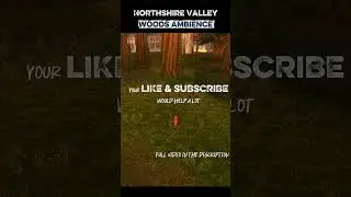 Wolves Howling in Northshire Valley Woods #worldofwarcraft #asmr #ambience