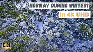 Norway during winter. Flying over winter forest. 4K drone shot